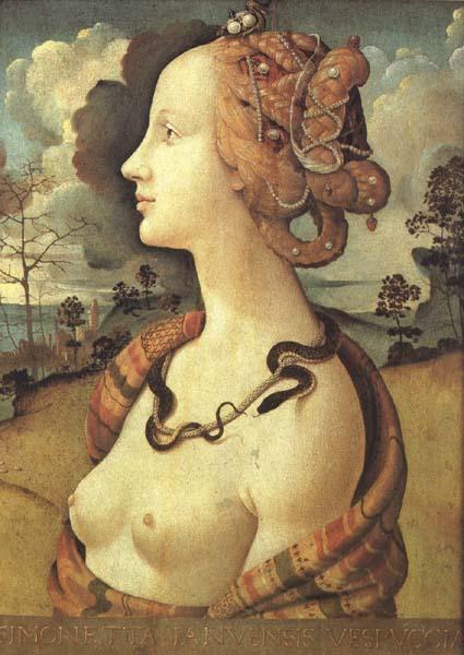 Piero di Cosimo Simonetta Vespucci (mk45) oil painting image